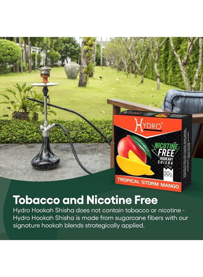 Hydro Hookah Flavors Shisha Variety Pack - 12 Nicotine Free 50g Packs Including Strawberry, Mango, Peach, Grape, Melon, Coconut, and More - Image 2